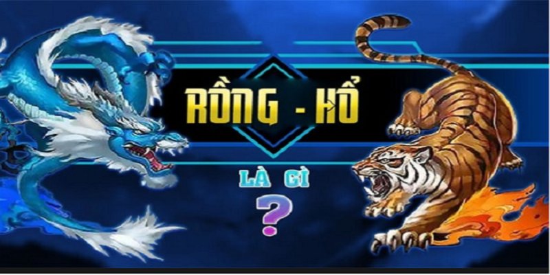 Vài nội dung cơ bản về trò chơi rồng hổ tại Luk88